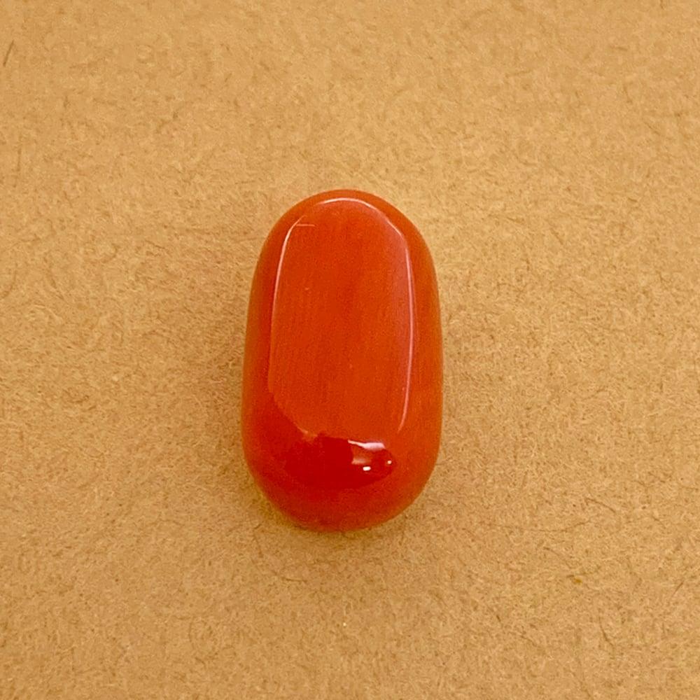 Red Coral - 15.00 Carat