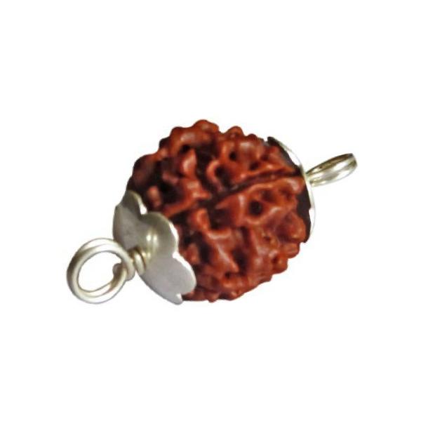 3 Mukhi Rudraksha Silver Pendant
