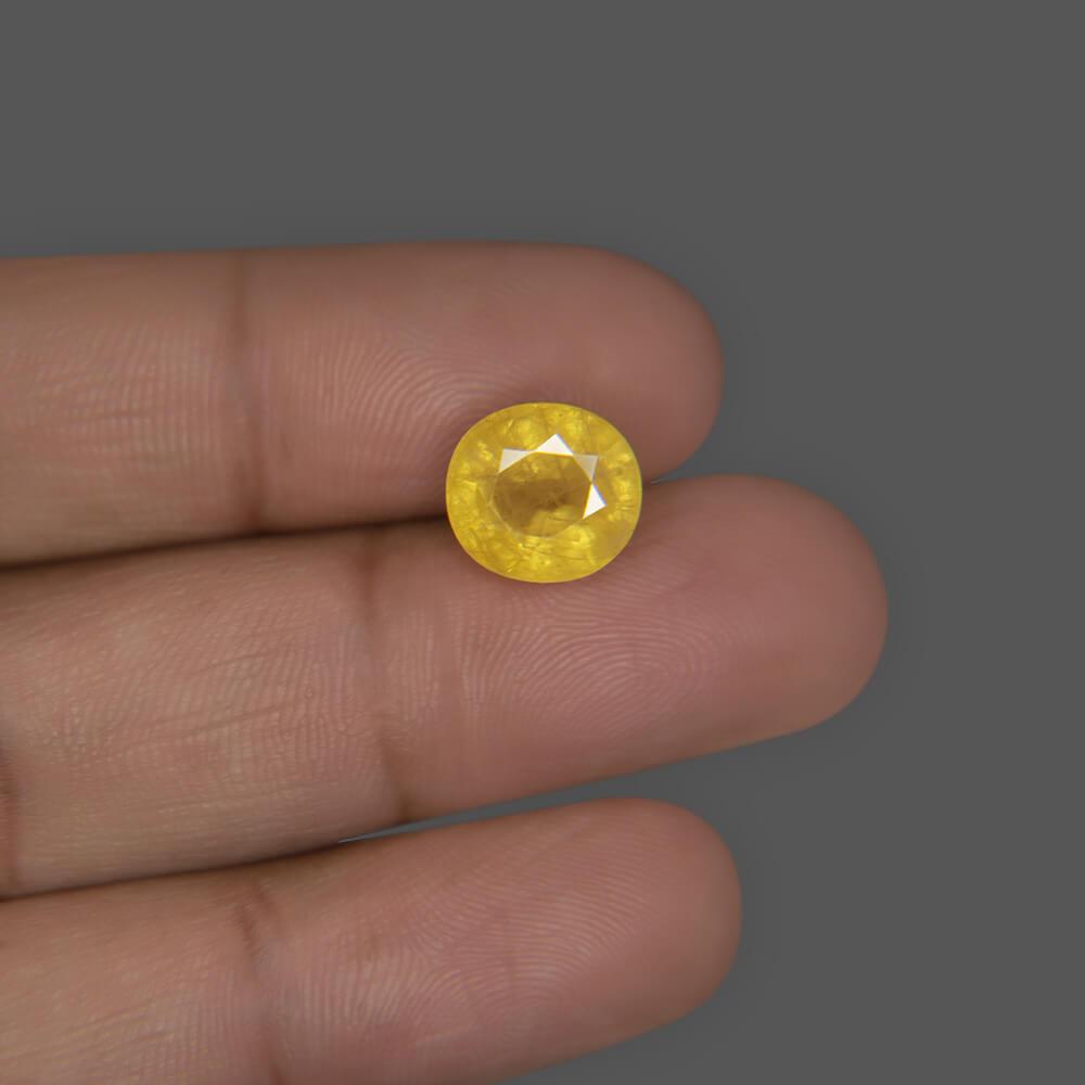 Yellow Sapphire - 6.60 Carat