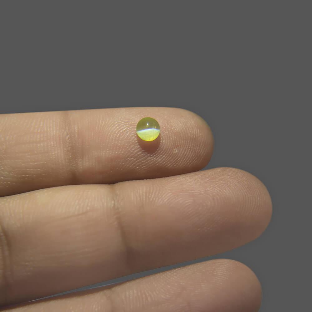 Chrysoberyl Cat's Eye - 0.50 Carat