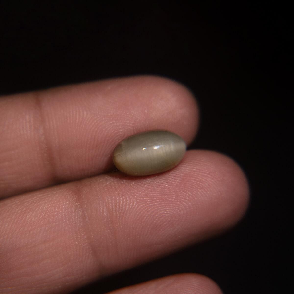 Cat's Eye - 5.52 Carat