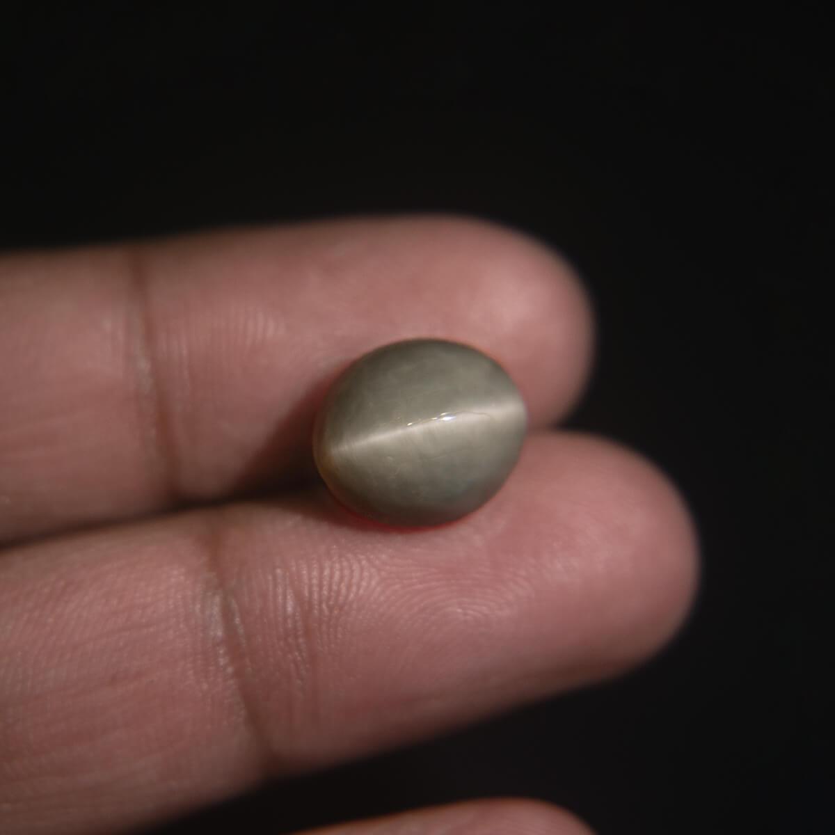 Cat's Eye - 8.14 Carat
