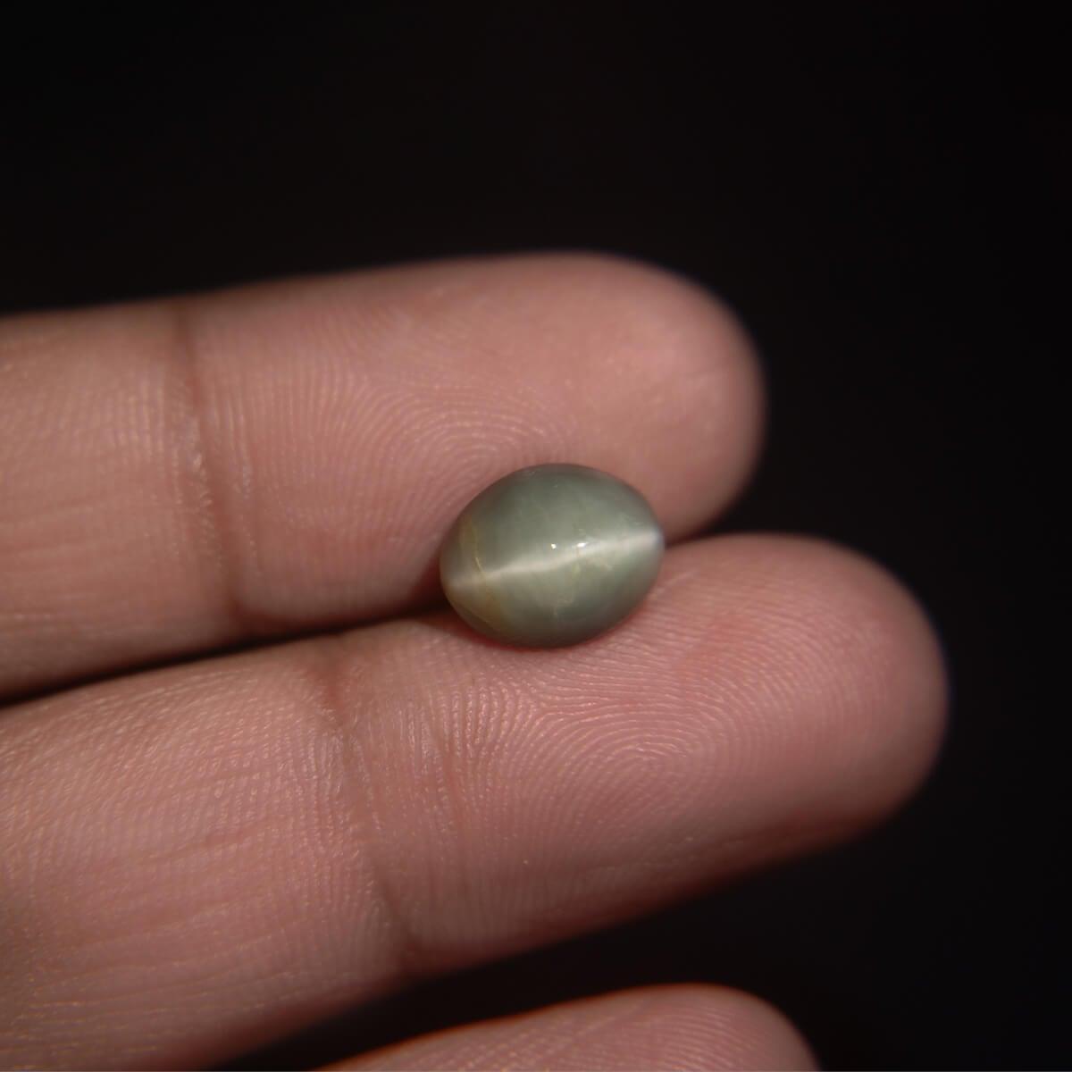 Cat's Eye - 3.91 Carat