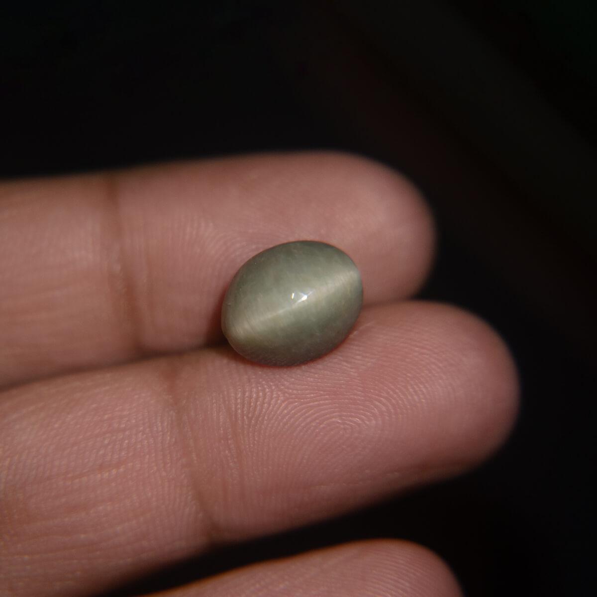Cat's Eye - 7.81 Carat
