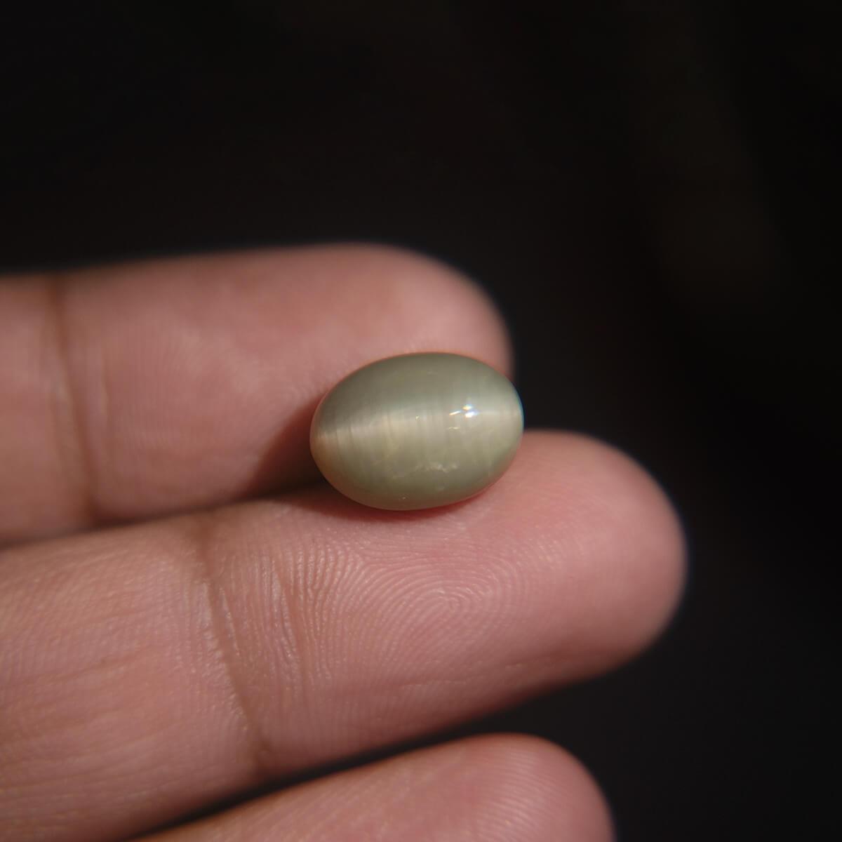 Cat's Eye - 7.15 Carat