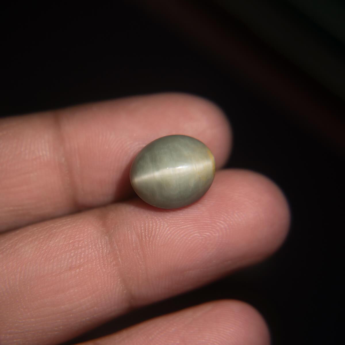 Cat's Eye - 9.11 Carat