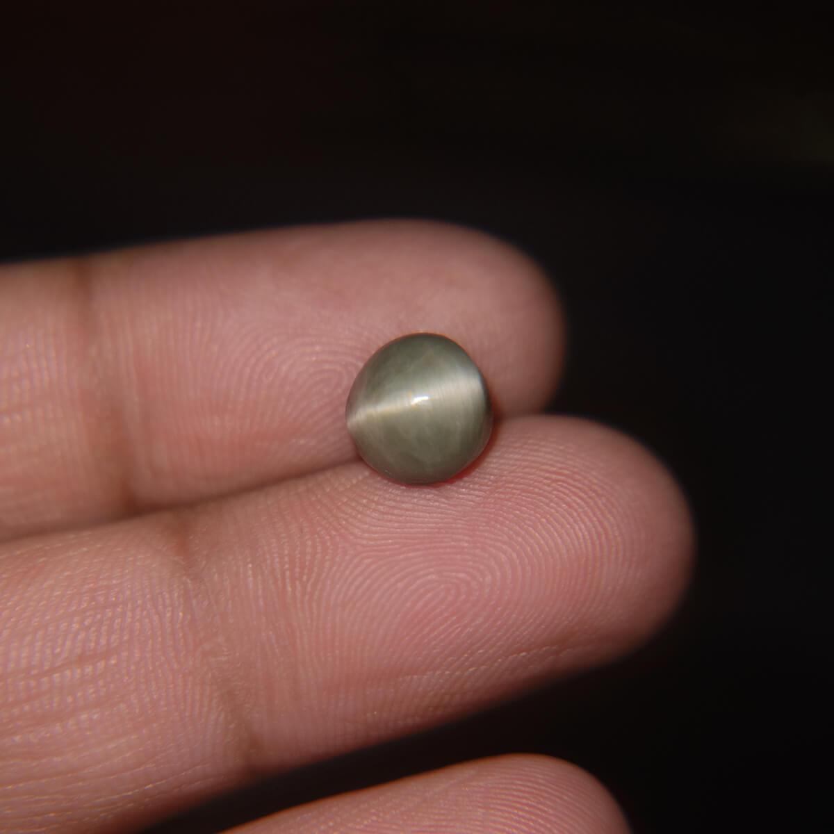 Cat's Eye - 3.04 Carat