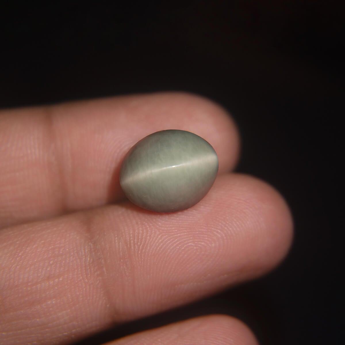 Cat's Eye - 9.27 Carat