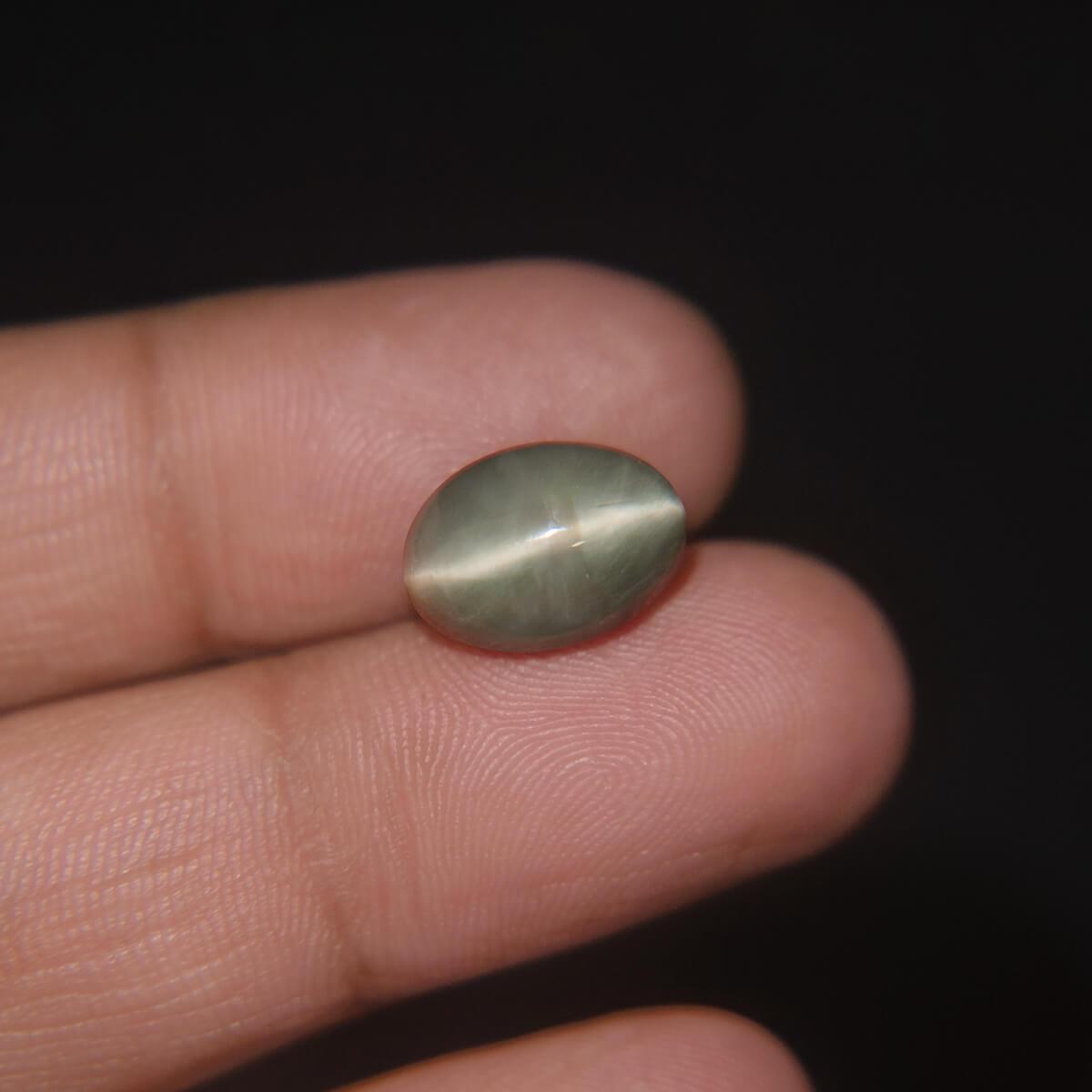 Cat's Eye - 6.41 Carat