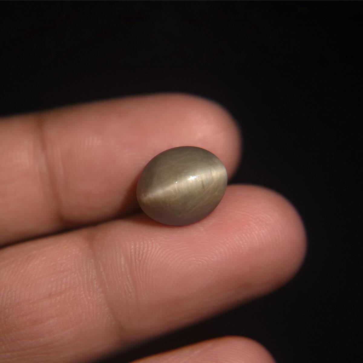 Cat's Eye - 6.66 Carat