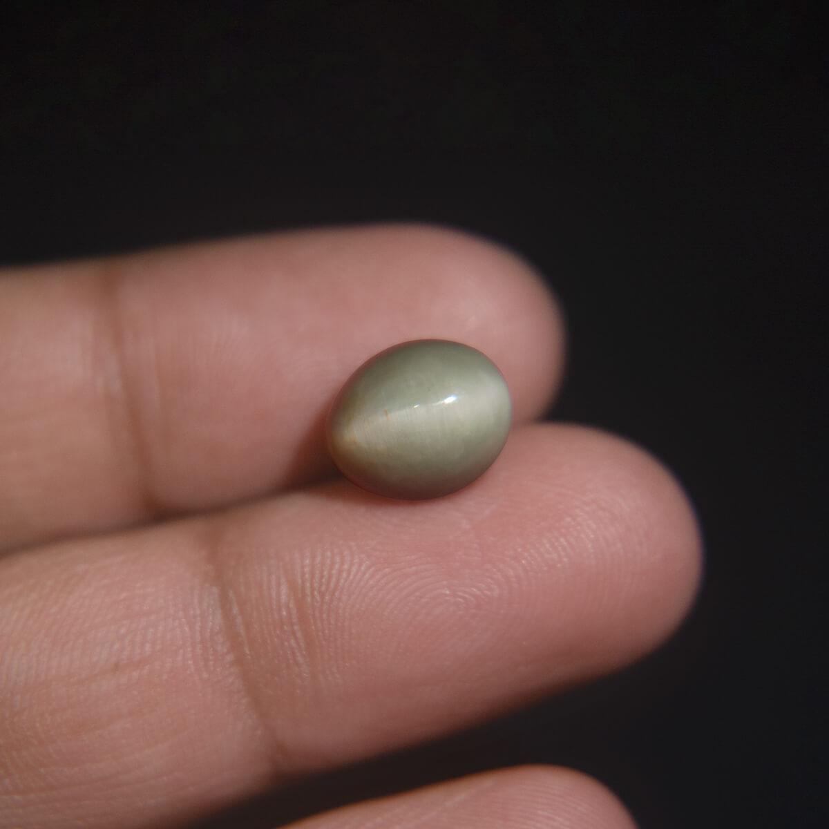 Cat's Eye - 5.79 Carat