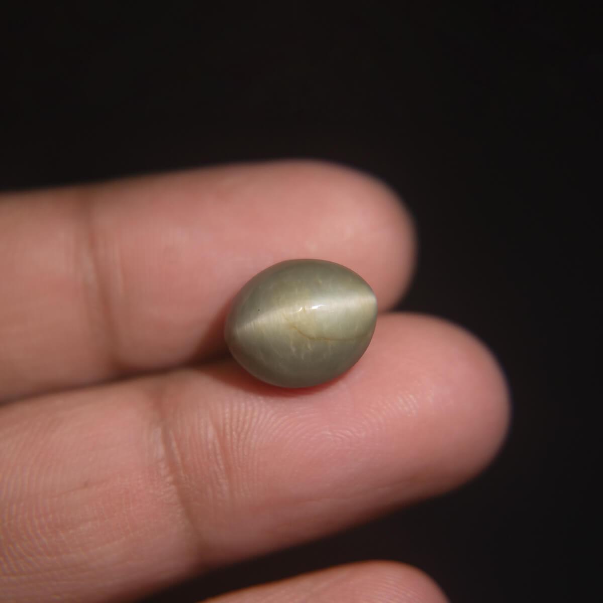 Cat's Eye - 8.21 Carat