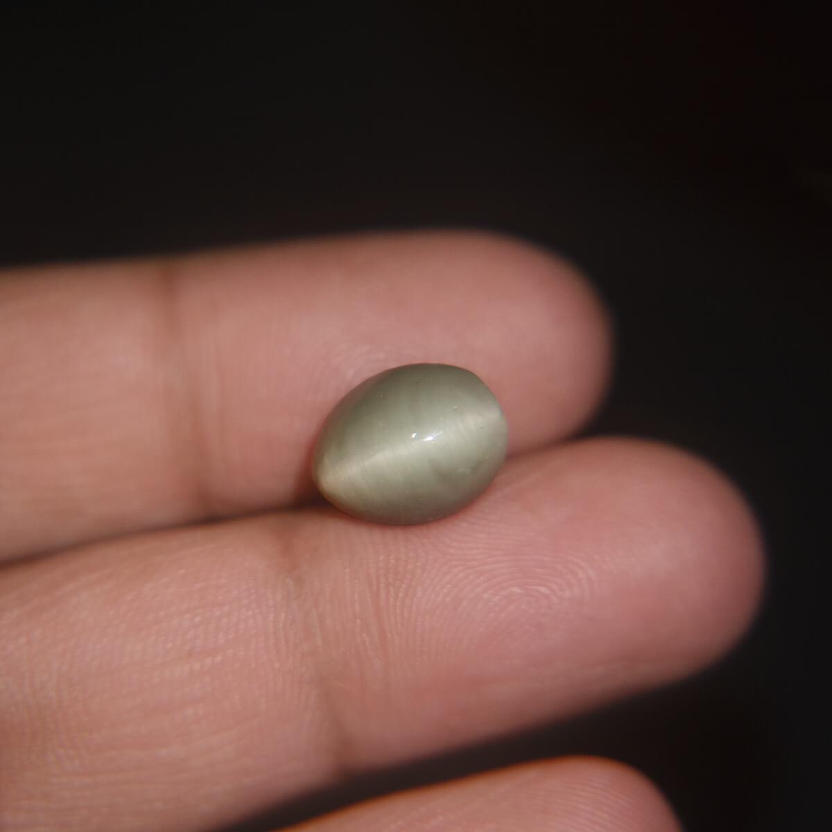 Cat's Eye - 7.00 Carat