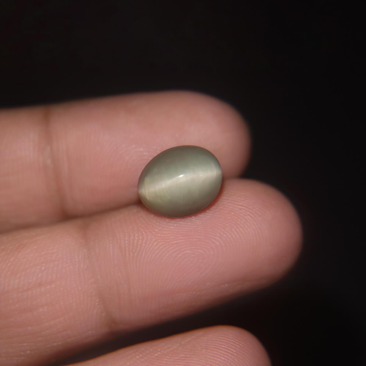 Cat's Eye - 5.36 Carat