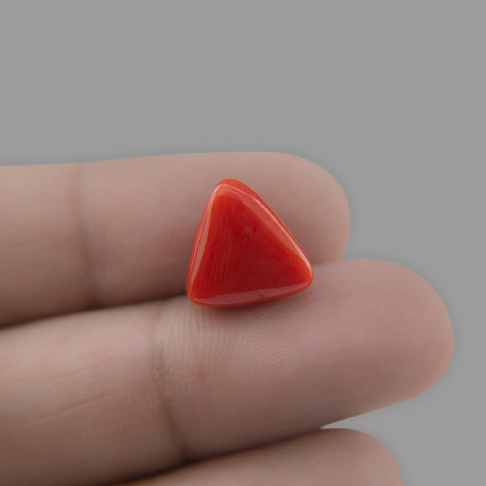 Red Coral - 6.97 Carat