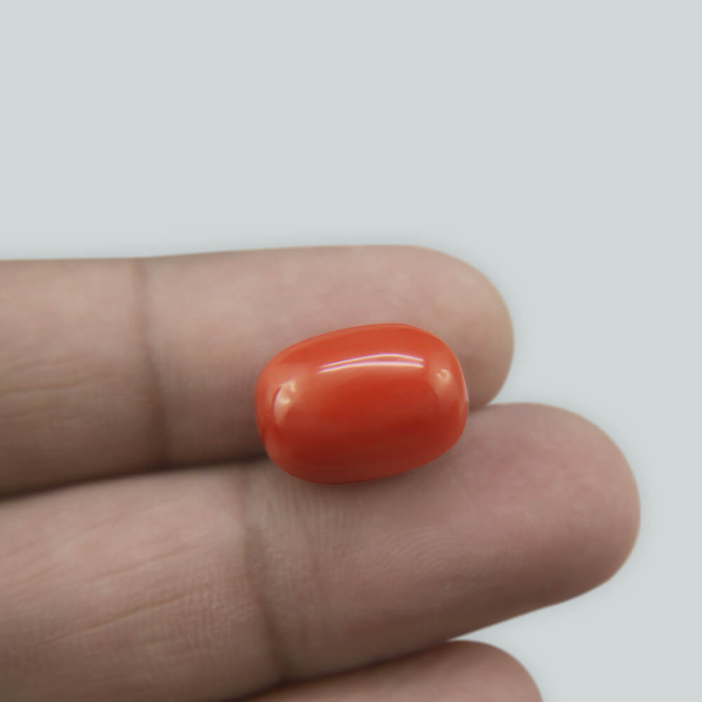 Red Coral - 10.87 Carat