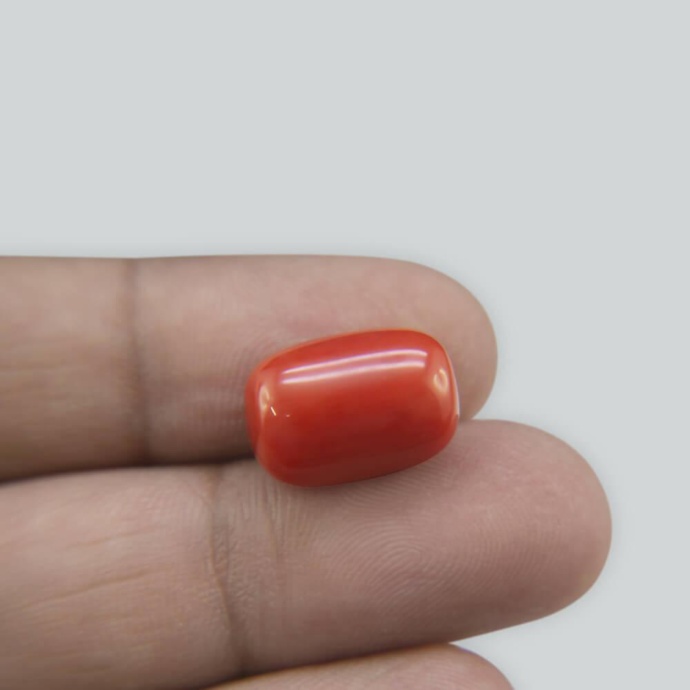 Red Coral - 11.81 Carat
