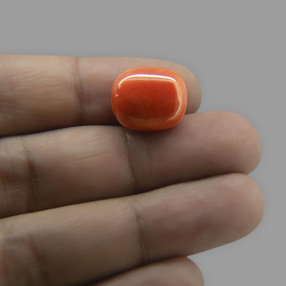 Red Coral - 12.91 Carat