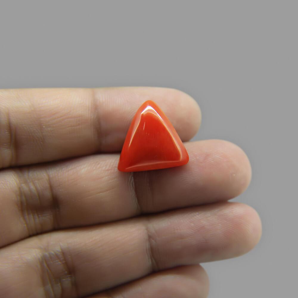 Red Coral - 13.79 Carat