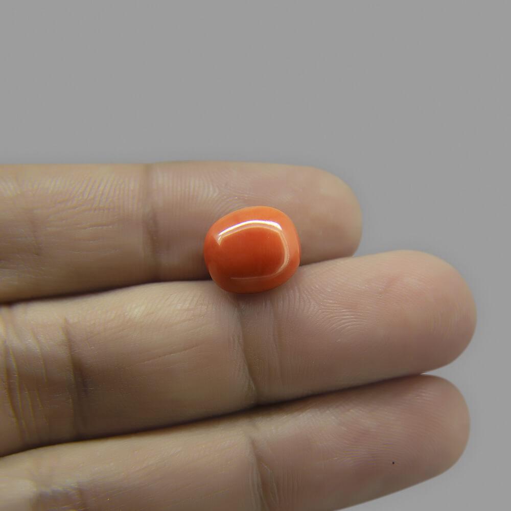 Red Coral - 6.00 Carat