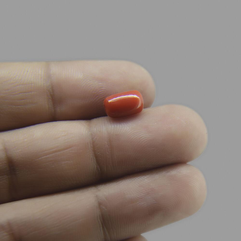 Red Coral - 2.33 Carat
