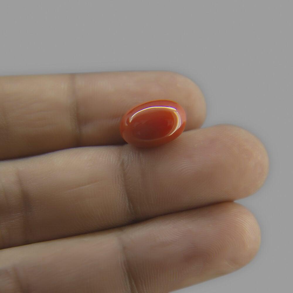 Red Coral - 6.60 Carat
