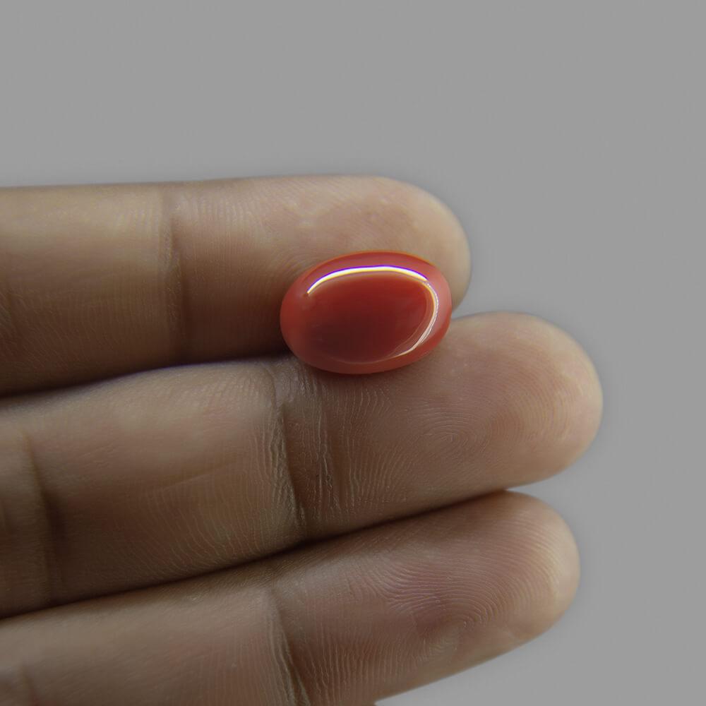 Red Coral - 8.88 Carat