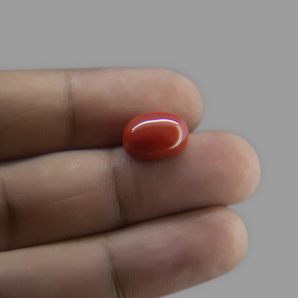 Red Coral - 6.29 Carat