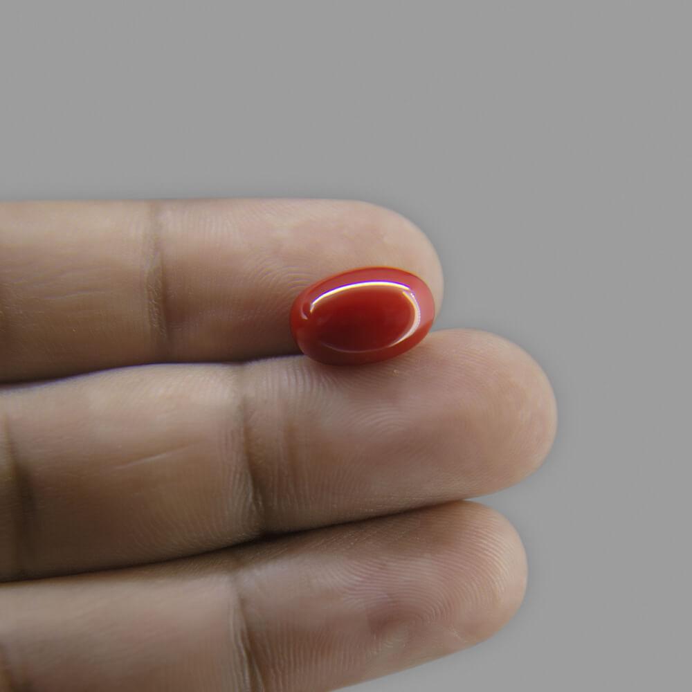 Red Coral - 6.28 Carat