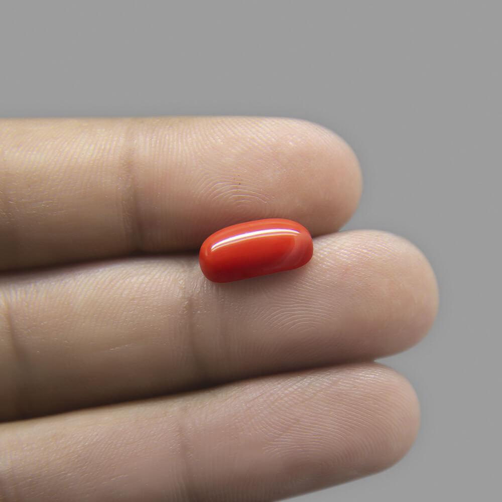 Red Coral - 4.08 Carat