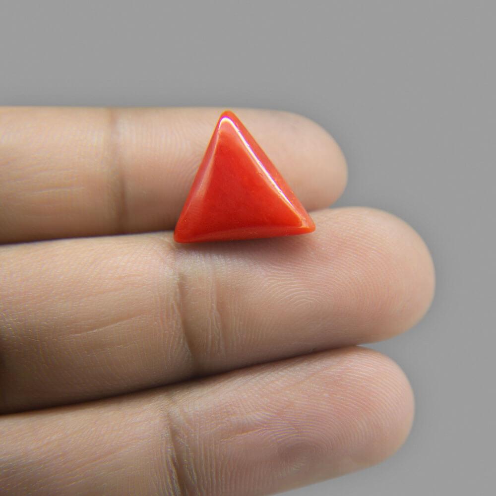 Red Coral - 7.54 Carat