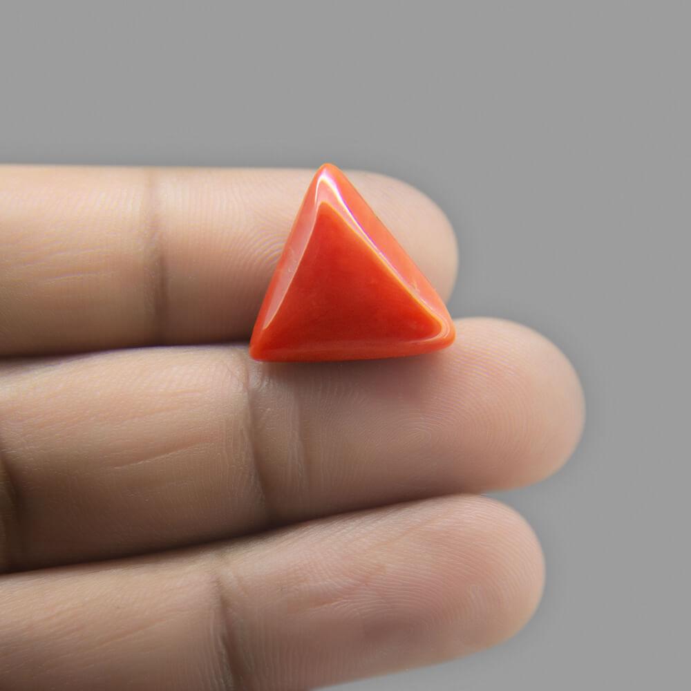 Red Coral - 12.67 Carat