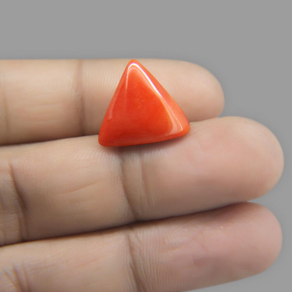 Red Coral - 11.91 Carat
