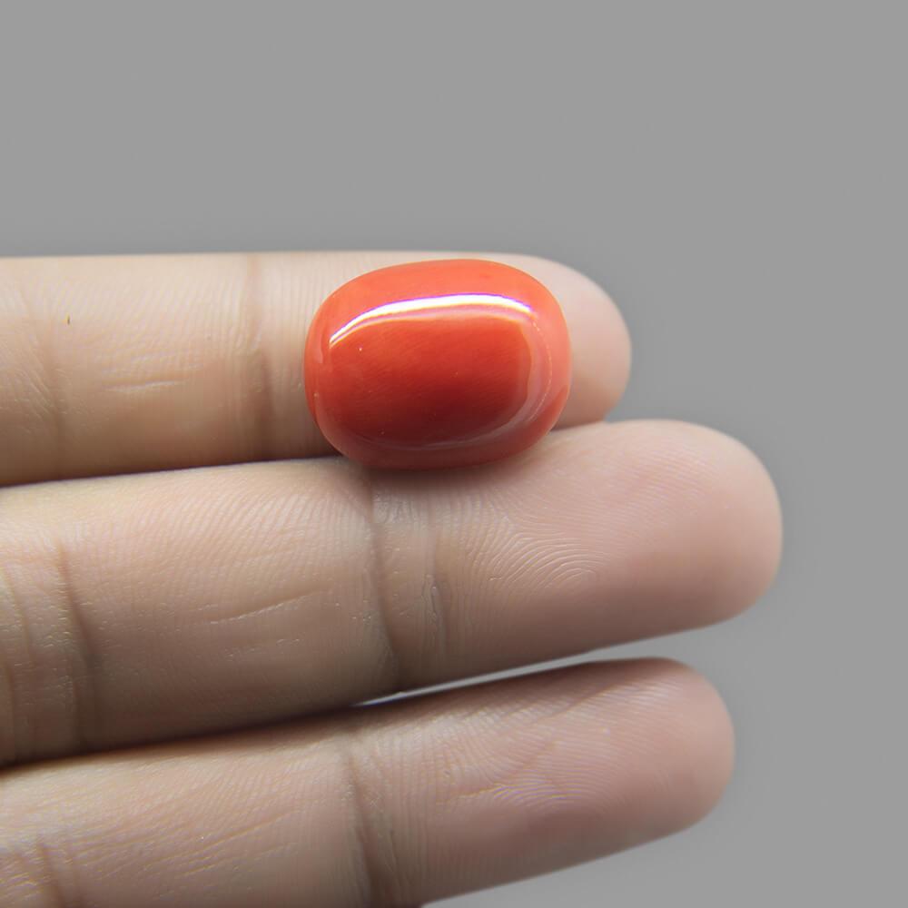 Red Coral - 14.63 Carat