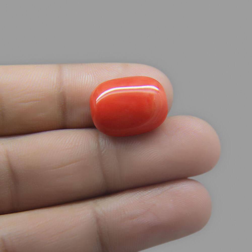 Red Coral - 16.42 Carat