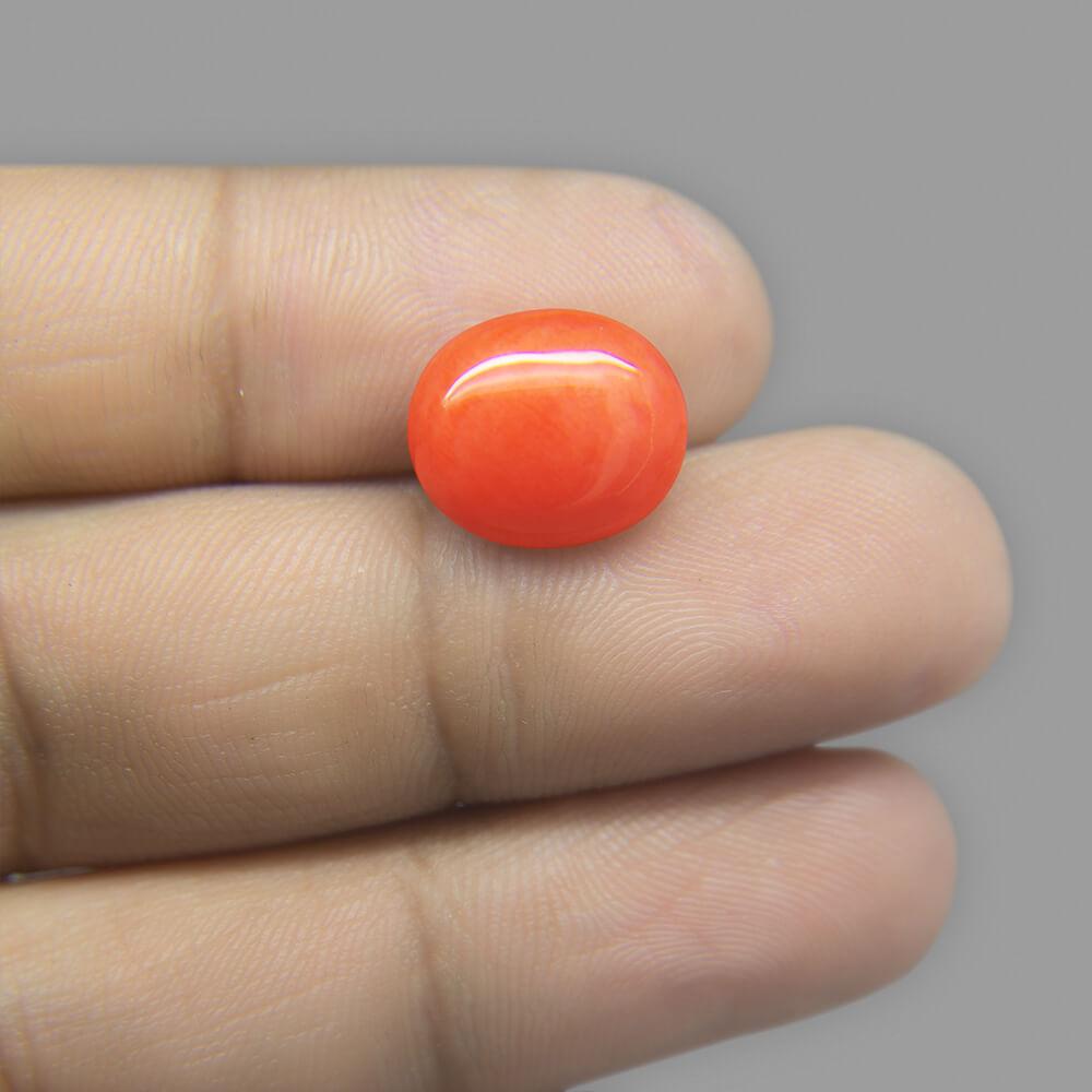 Red Coral - 6.26 Carat
