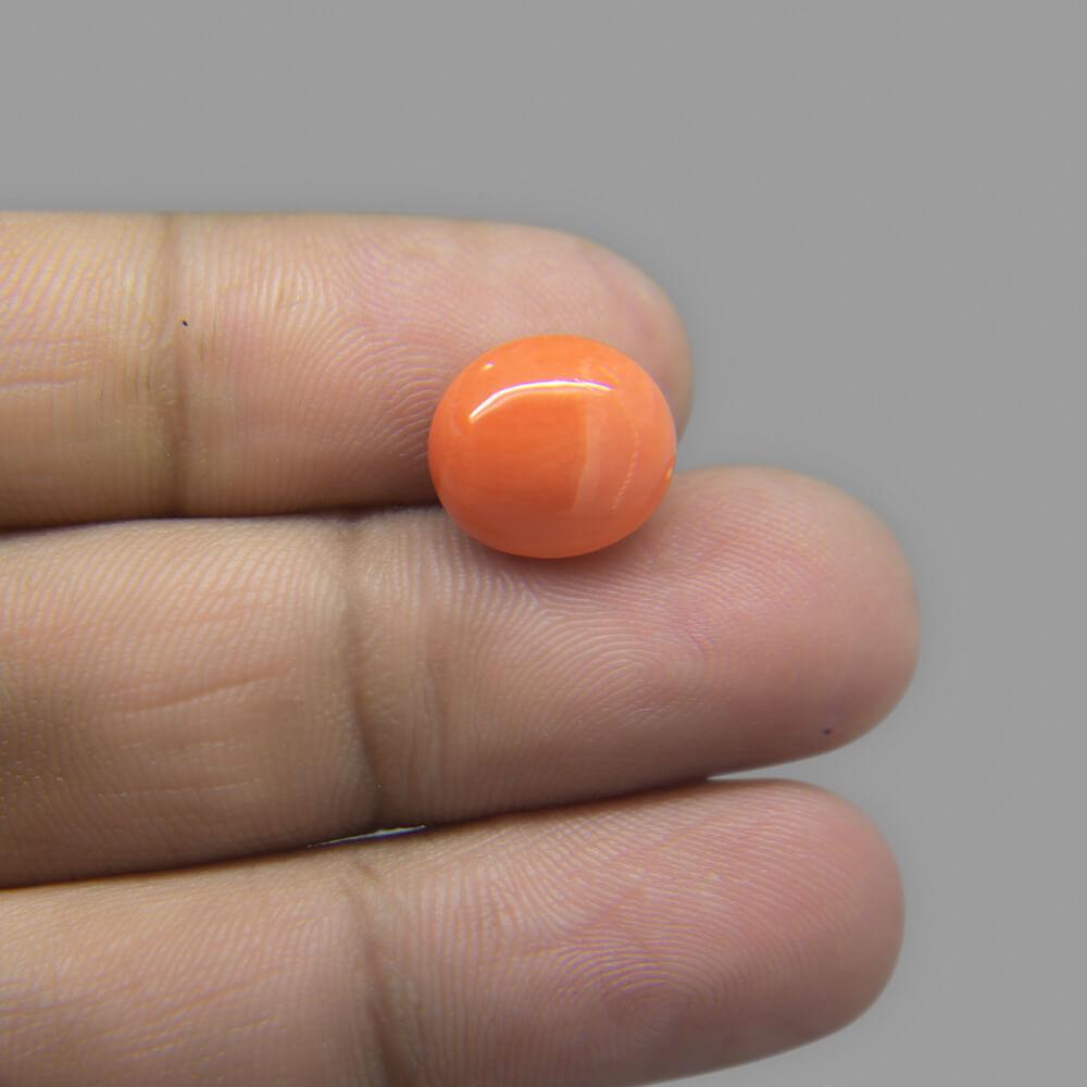 Red Coral - 6.14 Carat