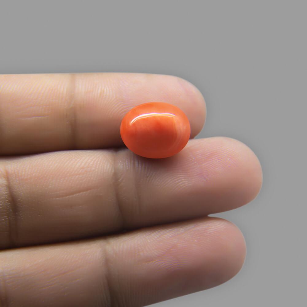 Red Coral - 7.22 Carat