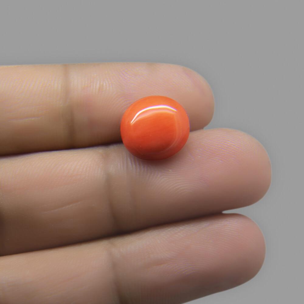 Red Coral - 6.21 Carat