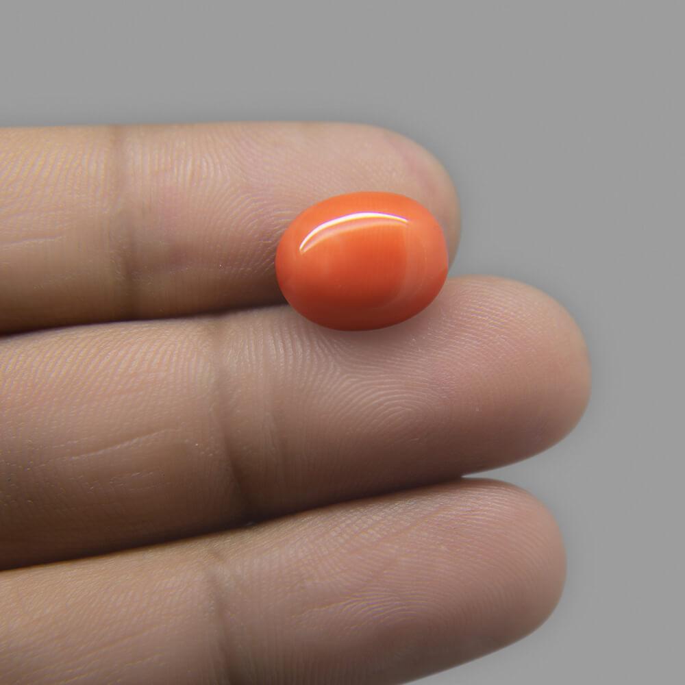 Red Coral - 6.88 Carat