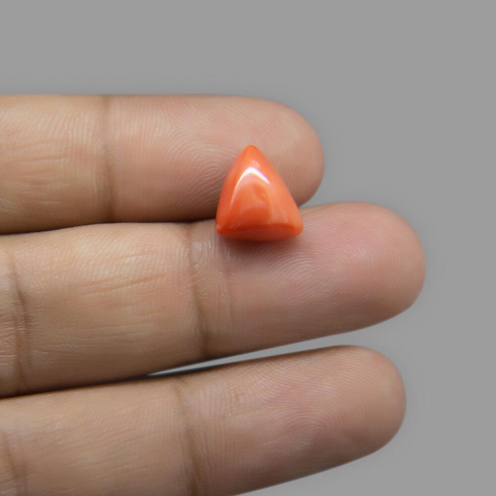 Red Coral - 6.08 Carat