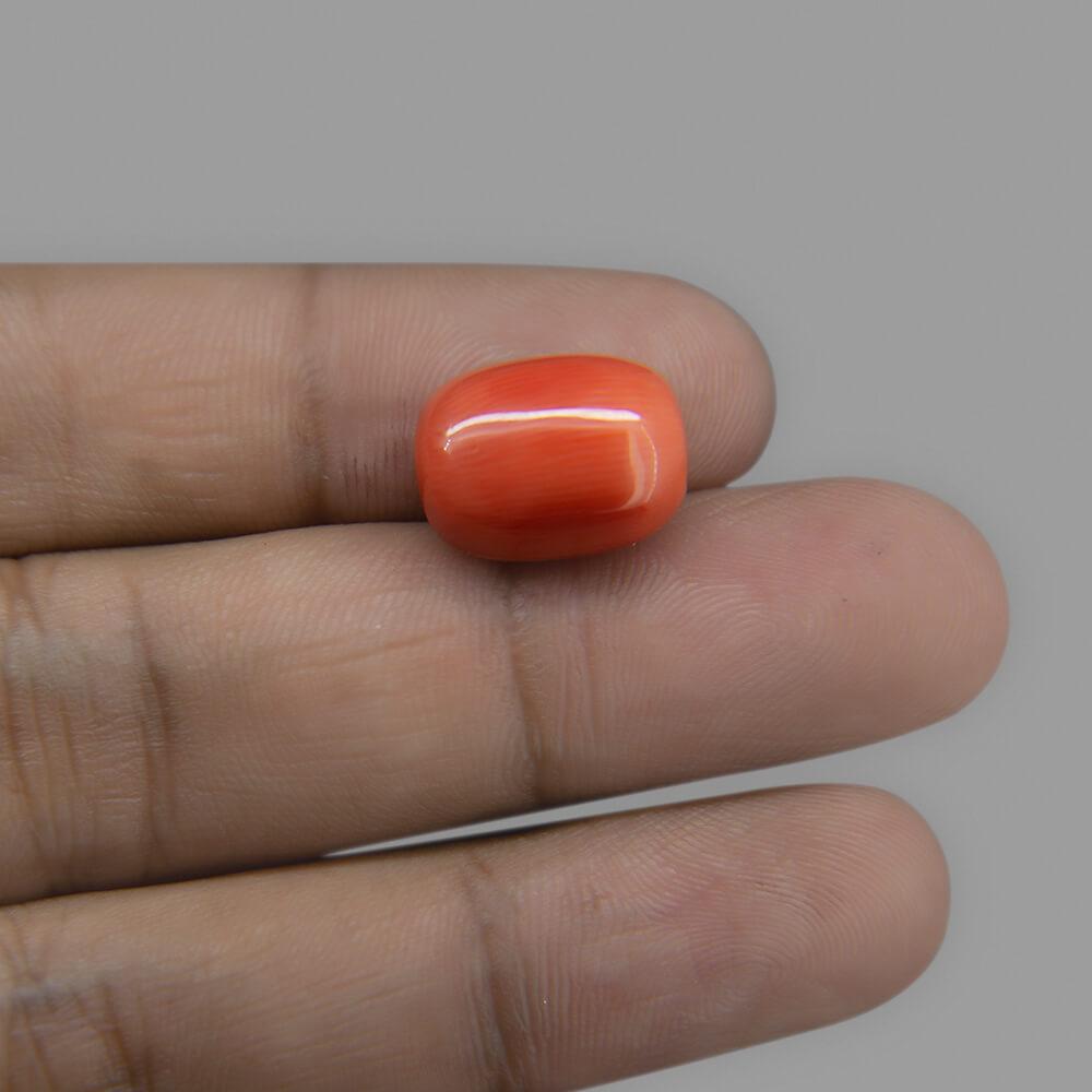 Red Coral - 12.17 Carat