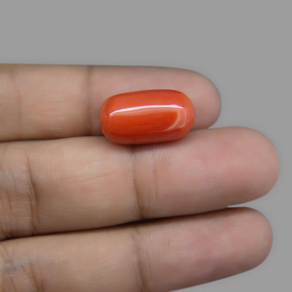 Red Coral - 15.32 Carat