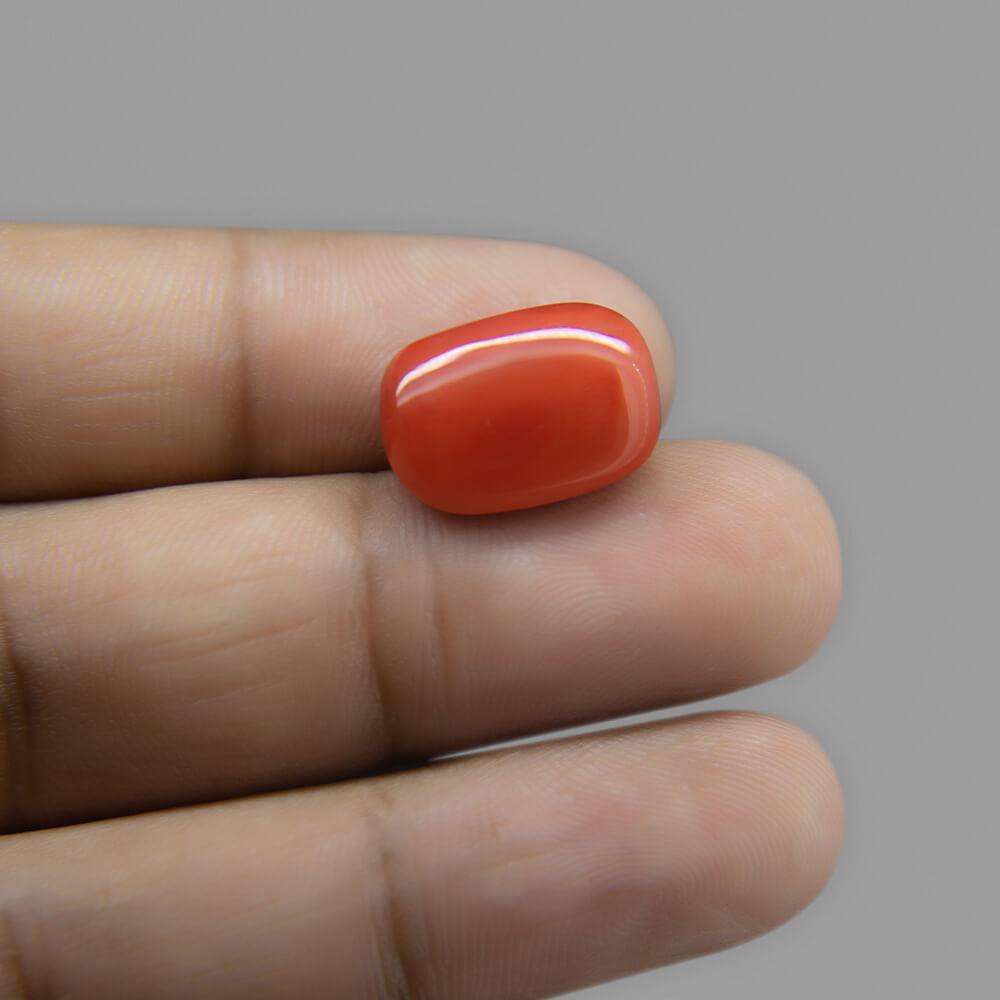 Red Coral - 12.30 Carat