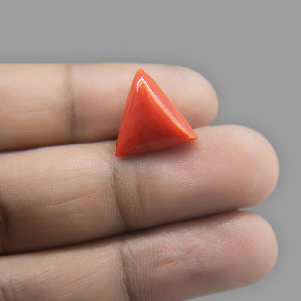 Red Coral - 7.78 Carat
