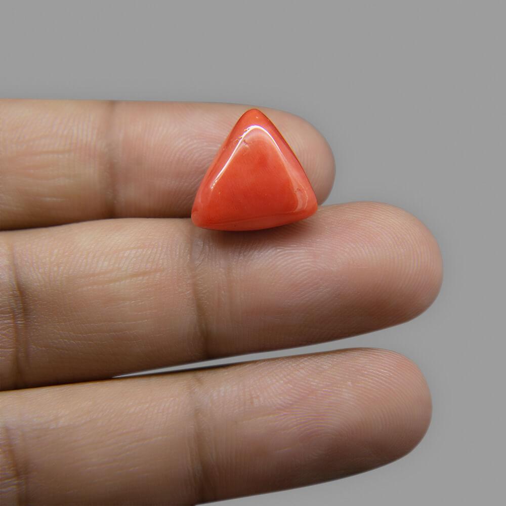 Red Coral - 12.35 Carat