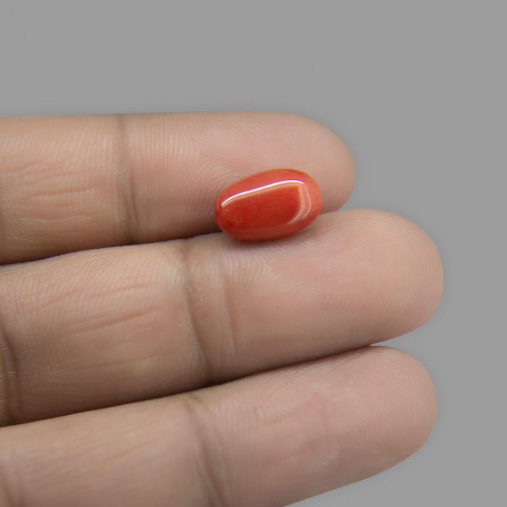 Red Coral - 4.33 Carat