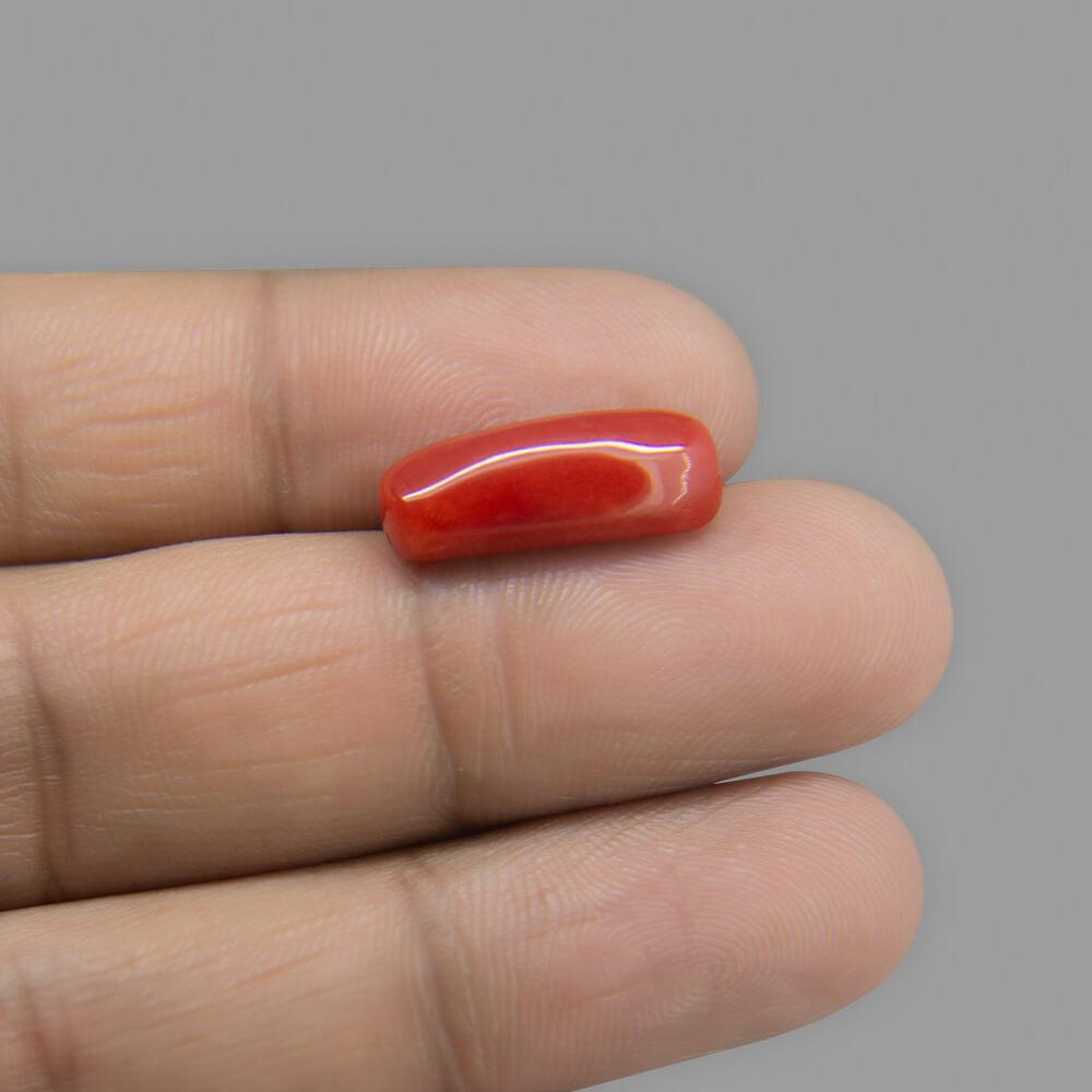 Red Coral - 7.48 Carat