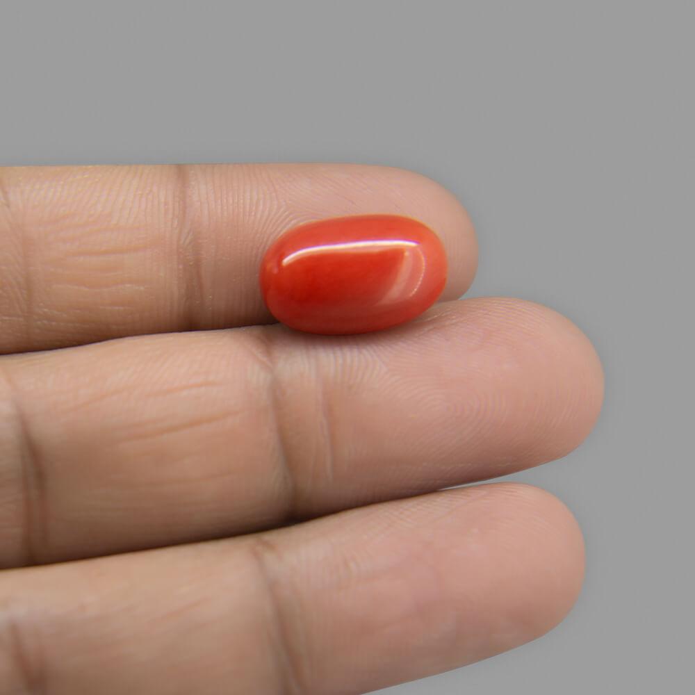 Red Coral - 9.76 Carat