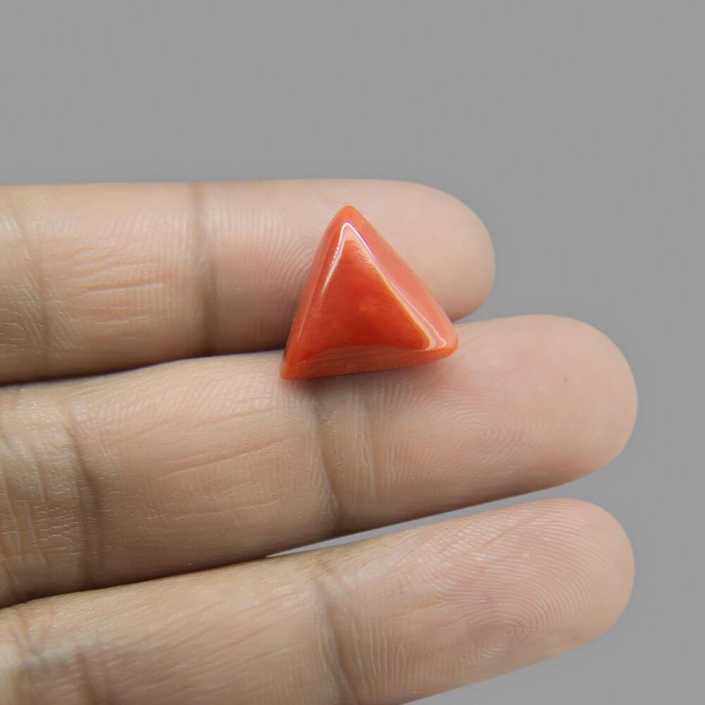 Red Coral - 10.54 Carat